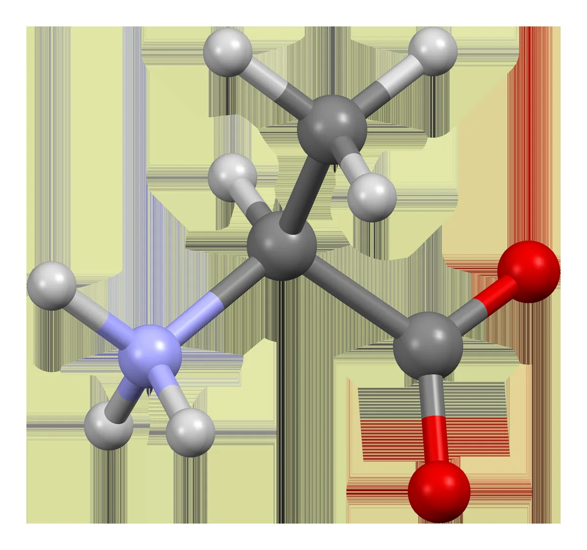 Ball-and-stick molecular model of the amino acid L-alanine