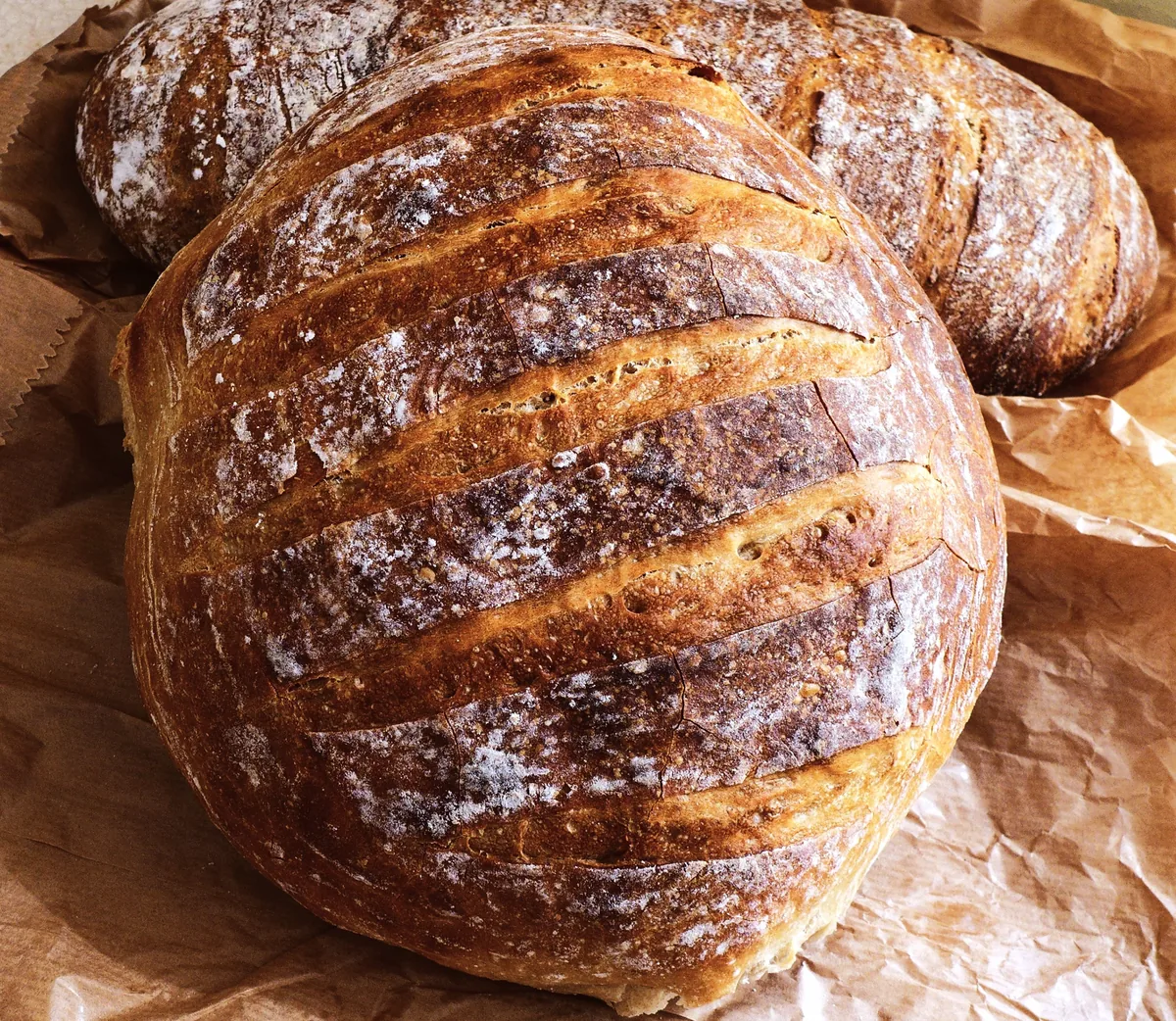 A loaf of wheat and rye bread, a staple source of dietary carbohydrates