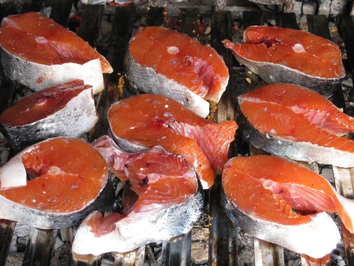 Raw salmon fillets, an oily fish rich in omega-3 essential fatty acids