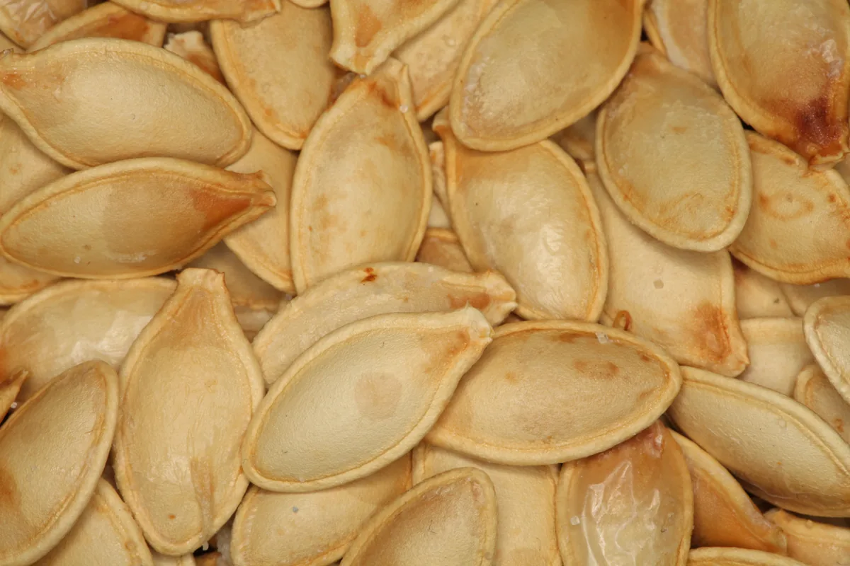 Roasted pumpkin seeds, one of the richest food sources of magnesium
