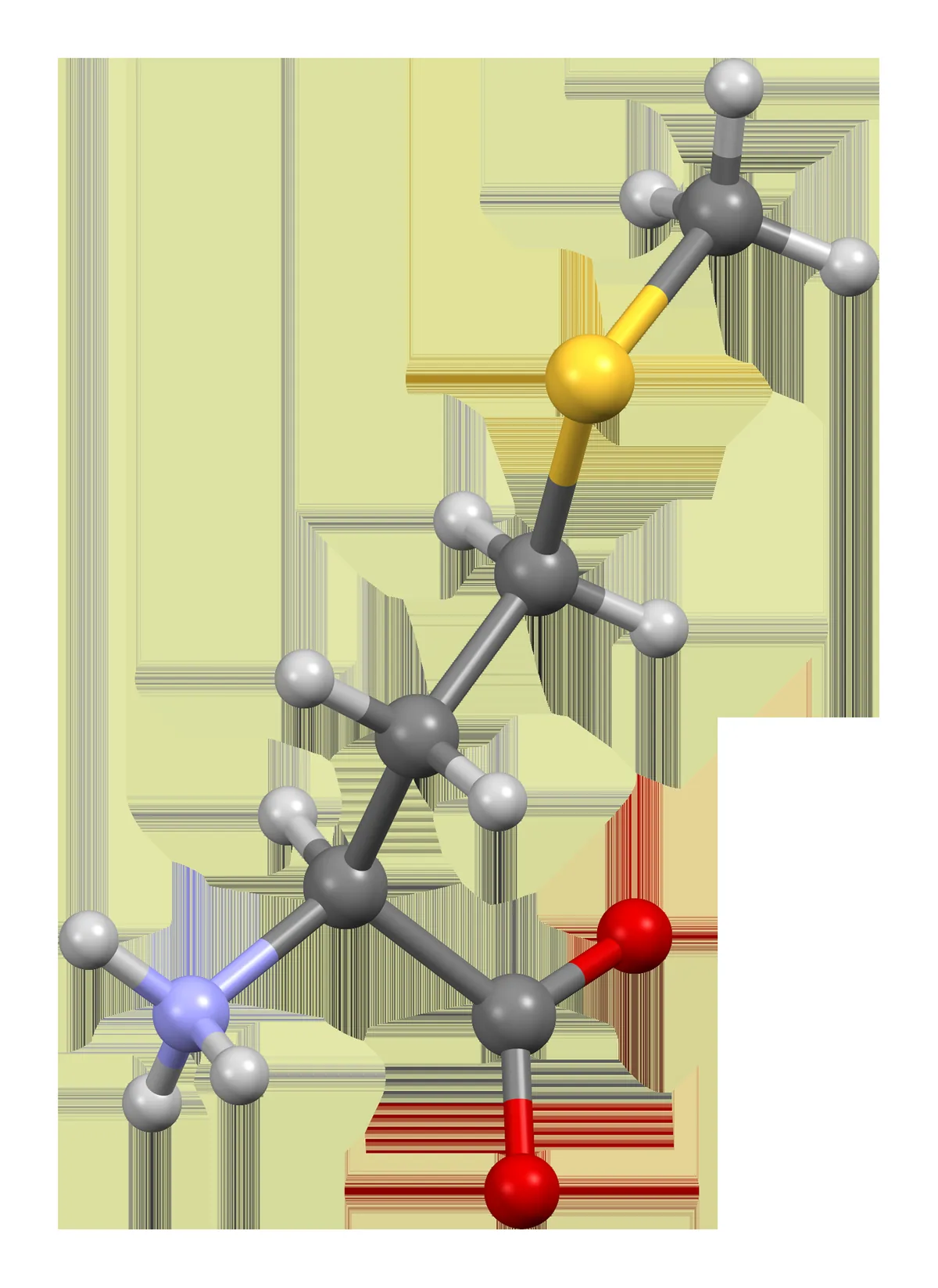 Ball-and-stick molecular model of the amino acid L-methionine