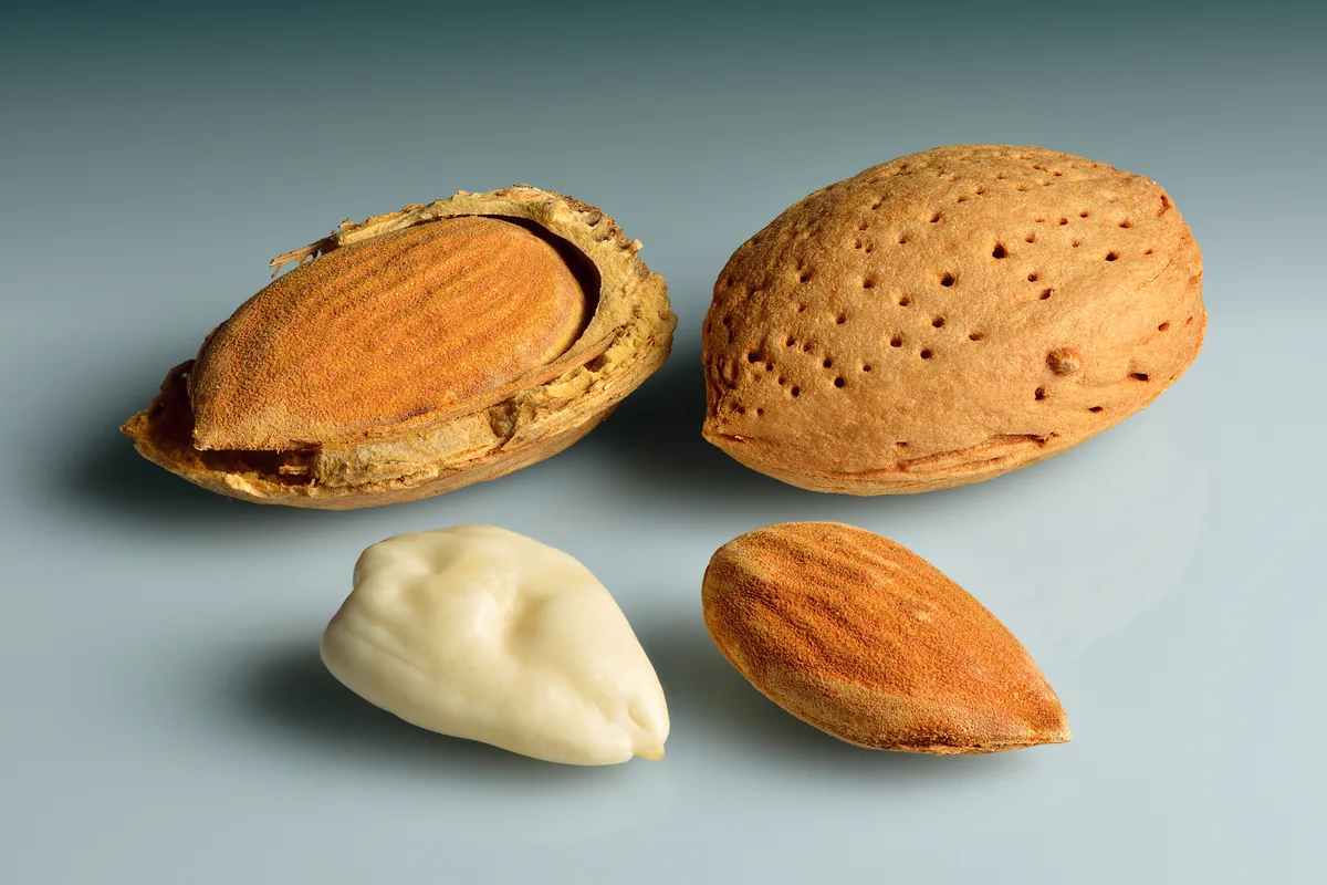 Almonds shown in and out of their shells, a food rich in vitamin E